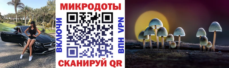 Псилоцибиновые грибы Cubensis  мега   Мурино 
