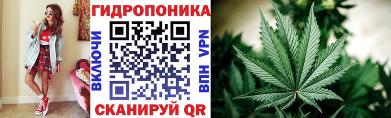 Бошки Шишки VHQ  omg маркетплейс  Мурино 
